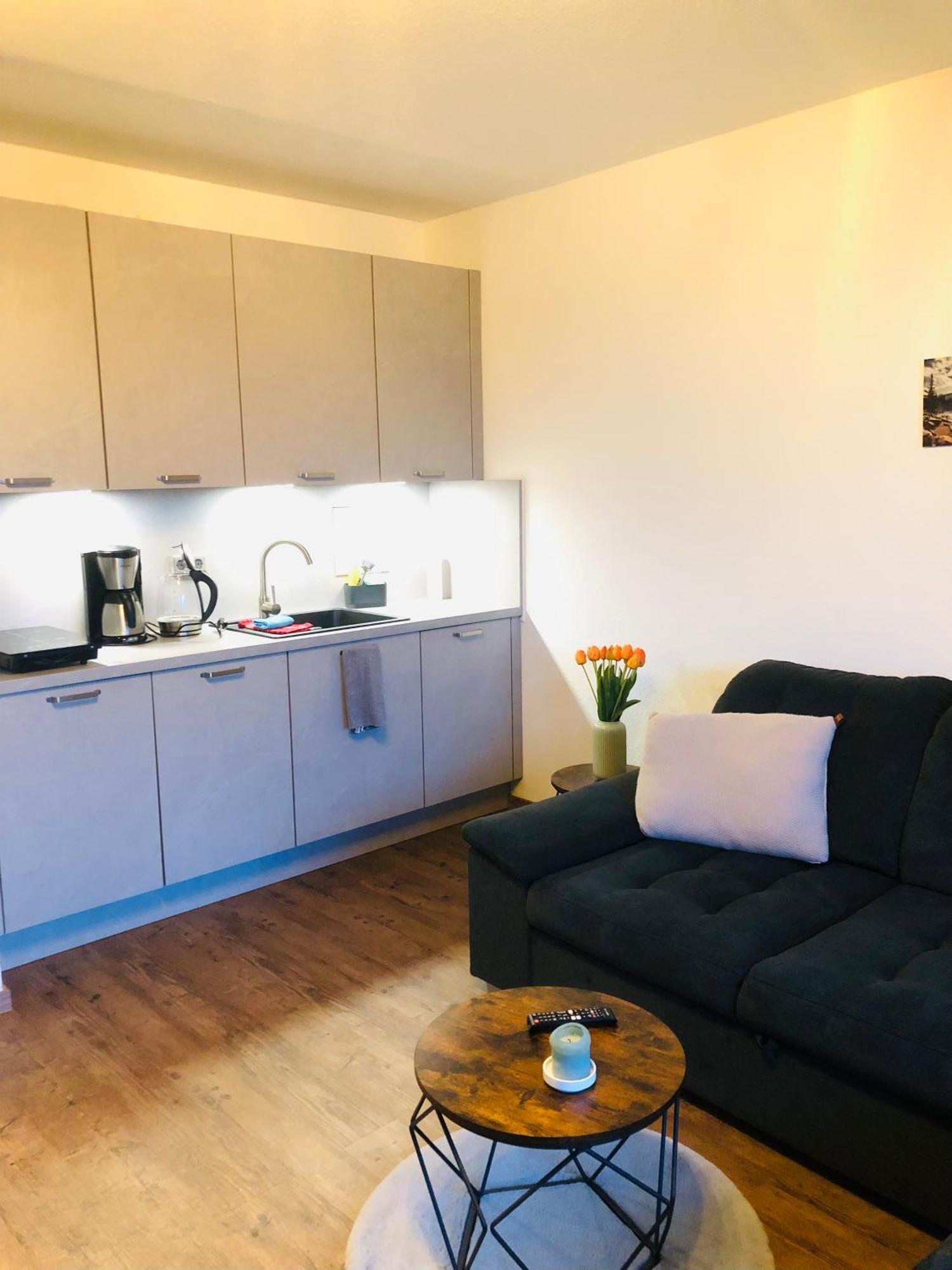 Comfortable City Appartement Dresden Exterior photo